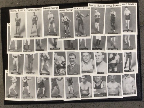 Famous boxers reproduction - boxers-,