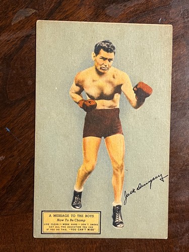 New york boxer - boxer, jack